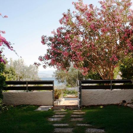 Beachfront Garden Apartment- Atlas Complex 路特奇 外观 照片