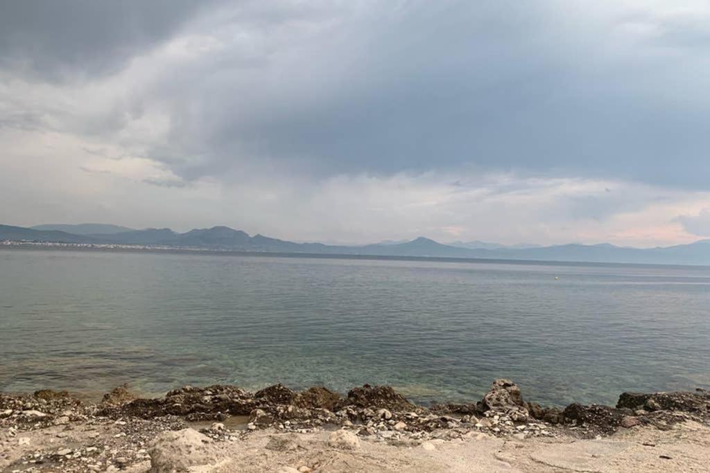 Beachfront Garden Apartment- Atlas Complex 路特奇 外观 照片