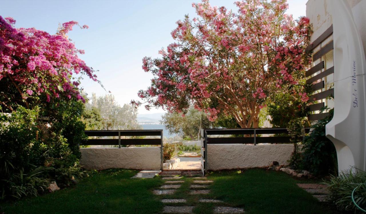Beachfront Garden Apartment- Atlas Complex 路特奇 外观 照片